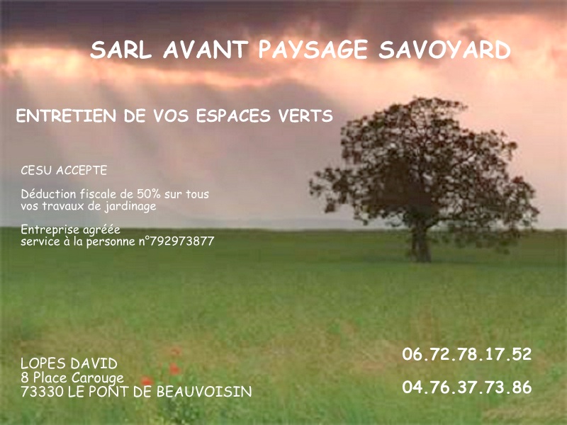 SARL Avant-paysage savoyard | Les Jardins du Buis David Lopes 73330 Le Pont de Beauvoisin, Domessin, services à la personne, défiscalisation, crédit d'impôts