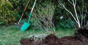 entretien de votre jardin - Jardins du Buis - Isère, Savoie