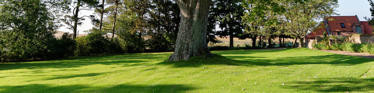 Les jardins du Buis 73330 Le Pont de Beauvoisin, Domessin - David Lopes paysagiste