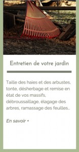 Entretien du jardin| Tonte, désherbage, élagage, jardinage, Les Jardins du Buis David Lopes 73330 Le Pont de Beauvoisin, Domessin