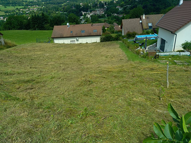 Broyage de parcelle à Saint-Geoire